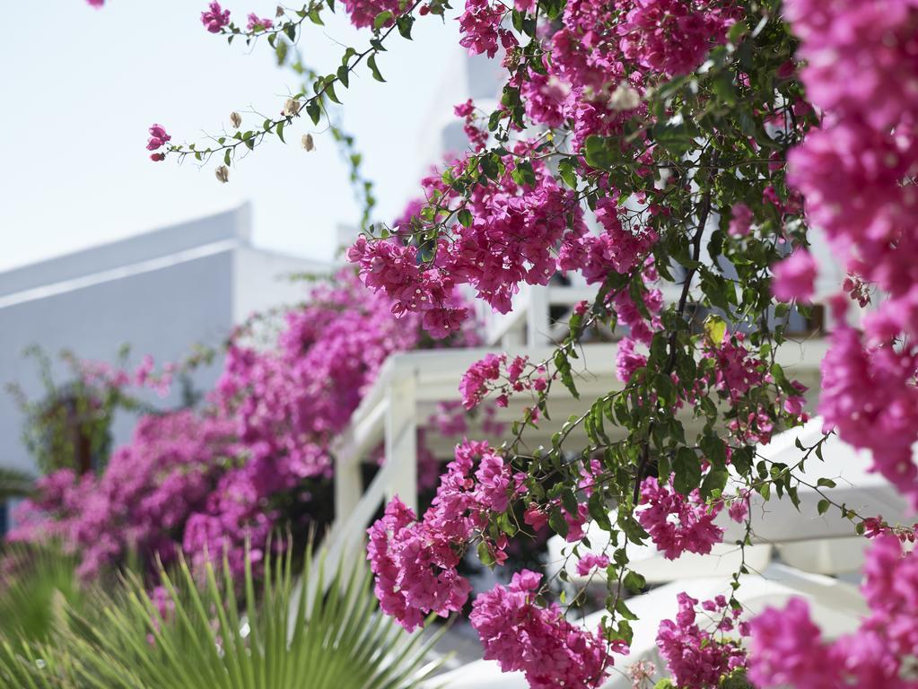 Polikandia Hotel Folegandros Town Exterior photo